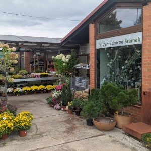 Zahradnictví Šrámek galerie interiér