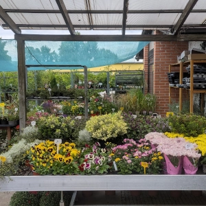 Zahradnictví Šrámek galerie interiér