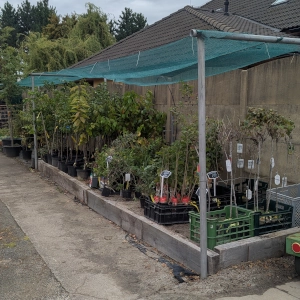 Zahradnictví Šrámek galerie interiér