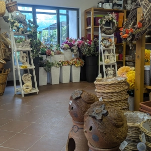 Zahradnictví Šrámek galerie interiér