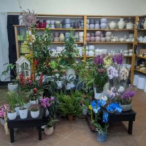 Zahradnictví Šrámek galerie interiér