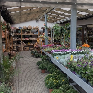 Zahradnictví Šrámek galerie interiér