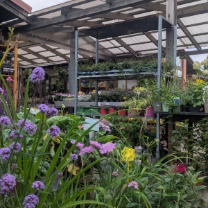 Zahradnictví Šrámek galerie interiér