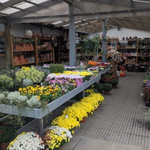 Zahradnictví Šrámek galerie interiér