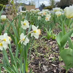 Zahradnictví Šrámek galerie interiér