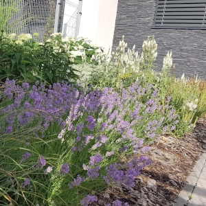 Zahradnictví Šrámek návrhy a realizace zahrad