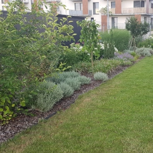 Zahradnictví Šrámek návrhy a realizace zahrad