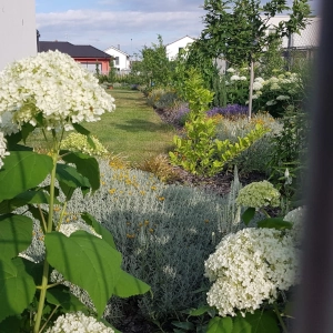 Zahradnictví Šrámek návrhy a realizace zahrad