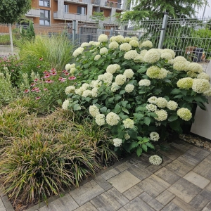 Zahradnictví Šrámek návrhy a realizace zahrad