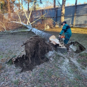 Zahradnictví Šrámek údržby zahrad