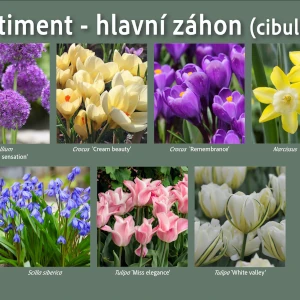 Zahradnictví Šrámek ukázkový projekt