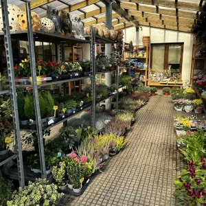 Zahradnictví Šrámek galerie interiér